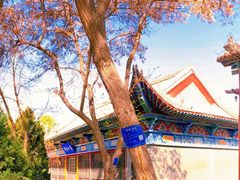 -张掖大佛寺景区