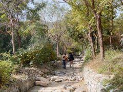 -阳台山自然风景区