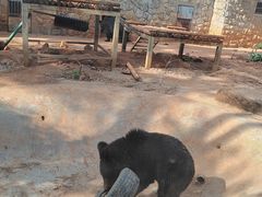 -昆明动物园