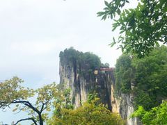 -蝶舞清江·恩施云顶景区(黄鹤峰林)