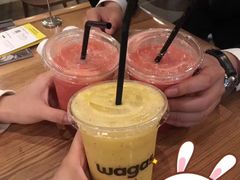 -Wagas沃歌斯(大学路店)