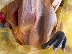 -马陆小张葡萄园农家乐