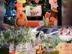 -正佳雨林生态植物园