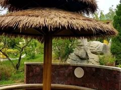 -大连金石滩绿发温泉假日酒店