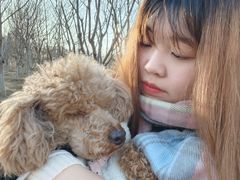 -宠福鑫康馨动物医院·骨科·眼科