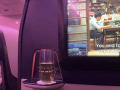 -新加坡航空公司(ION)