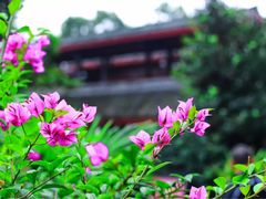 -峨眉山报国寺