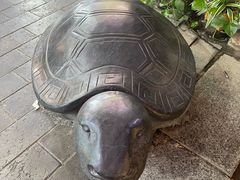 -梧州双钱龟苓膏(老街店)