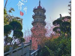 -船政文化景区-罗星塔公园