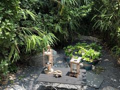 -汤宴·参须肚包鸡(南京路店)