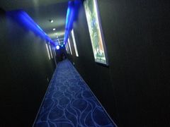 放映厅-博纳国际影城(合肥银泰中心店)
