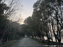 -练塘古镇