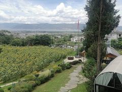 -云禾壹海景庄园餐厅