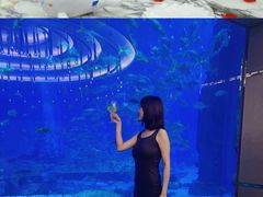 -亚特兰蒂斯•OSSIANO奥西亚诺海底餐厅