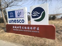 -盐城丹顶鹤湿地生态旅游区
