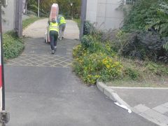 -蚂蚁搬家成都打包搬运公司