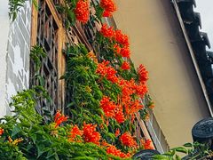 -吃货私房菜(丽江束河古镇店)