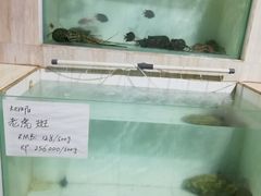 -海盗餐厅
