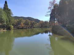 -四明山国家森林公园