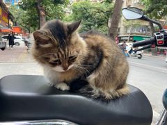 -小吴肠粉
