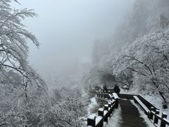 -九华山风景区