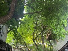 -重庆十八梯传统风貌区