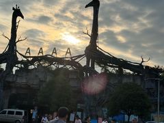 -贵州森林野生动物园