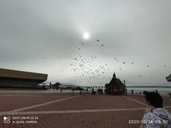 -大连星海广场音乐喷泉