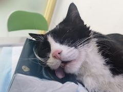 -汪喵宠物医院·骨科心脏影像·犬猫急重症ICU诊疗中心(成华分院)