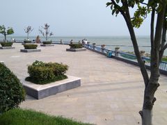 -合肥滨湖国家森林公园