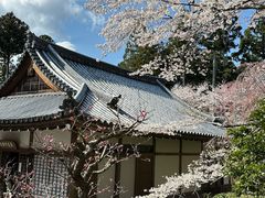 -三千院