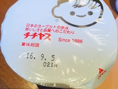 -京都全日空皇冠假日酒店