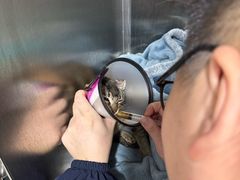 -御宝贝24h宠物医院·转诊中心·CT核磁血透中心(厦门总院)