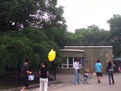 -紫竹院公园冰场