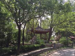 -尚庄度假村·庭台树下·户外烧烤·团建CS·轰趴营地(上庄水库店)