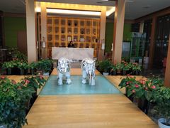 -1369冰火锅(木北路店)