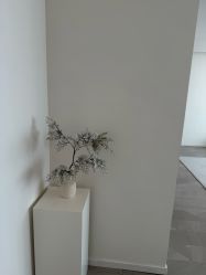 -七岛美学