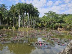 -中国科学院西双版纳热带植物园