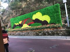 -金鸡山公园