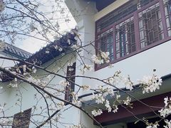 -堤角公园