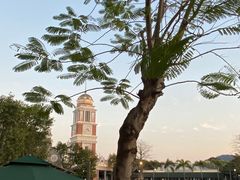 -赤坎·广东华侨国际旅游度假区