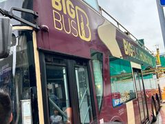 -Big Bus Tours 敞篷观光巴士