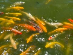 -南戴河国际娱乐中心