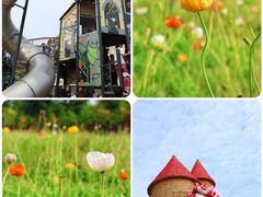 -歌斐颂巧克力小镇