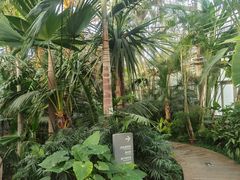 -国家植物园南园