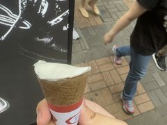 -富豪雪糕车流动点(尖沙咀)
