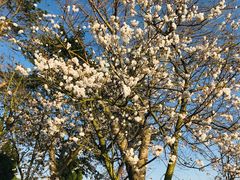 -仙海旅游度假区