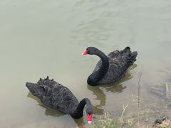 -江苏三台山国家森林公园