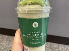 -茉酸奶(春熙路店)