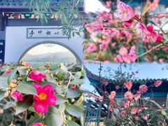 -西湖游船